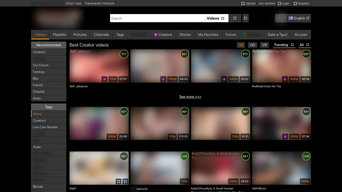 Ashemaletube Video Downloader browser extension screenshot 2